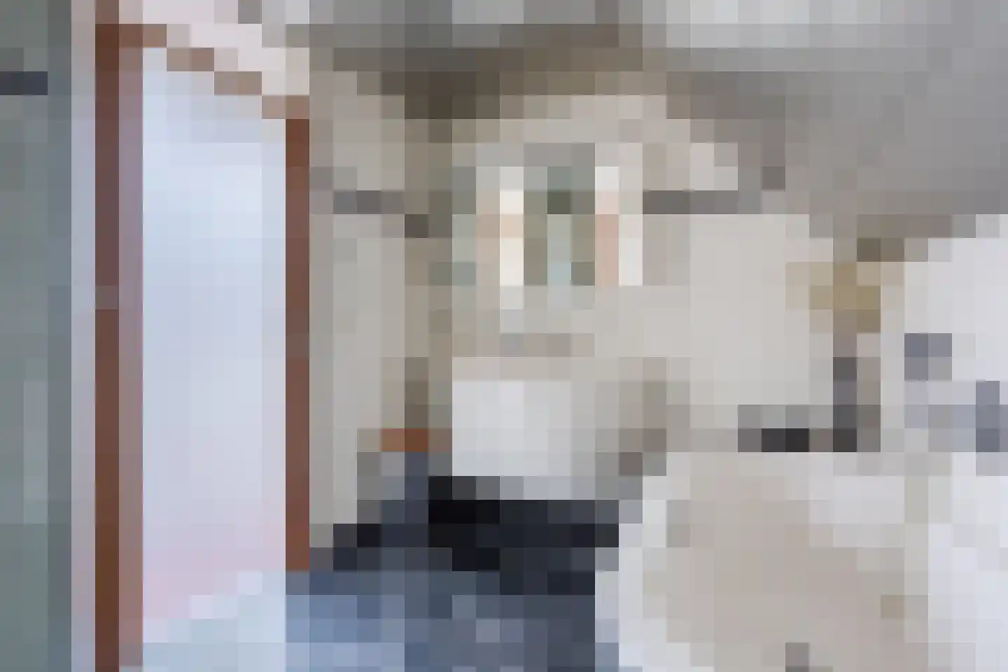 Eksterdonk 8 Veghel thumbnail 24