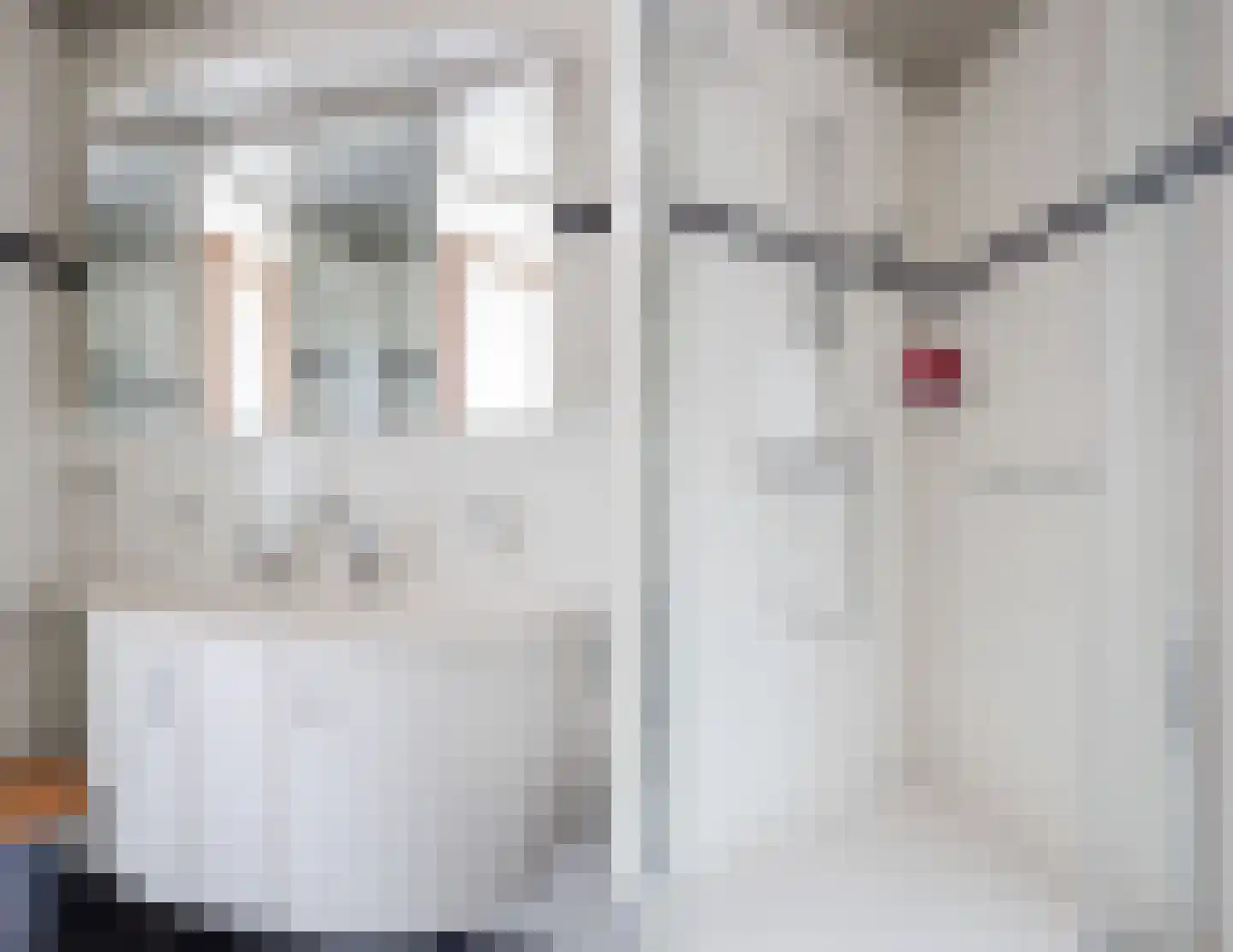 Eksterdonk 8 Veghel thumbnail 25