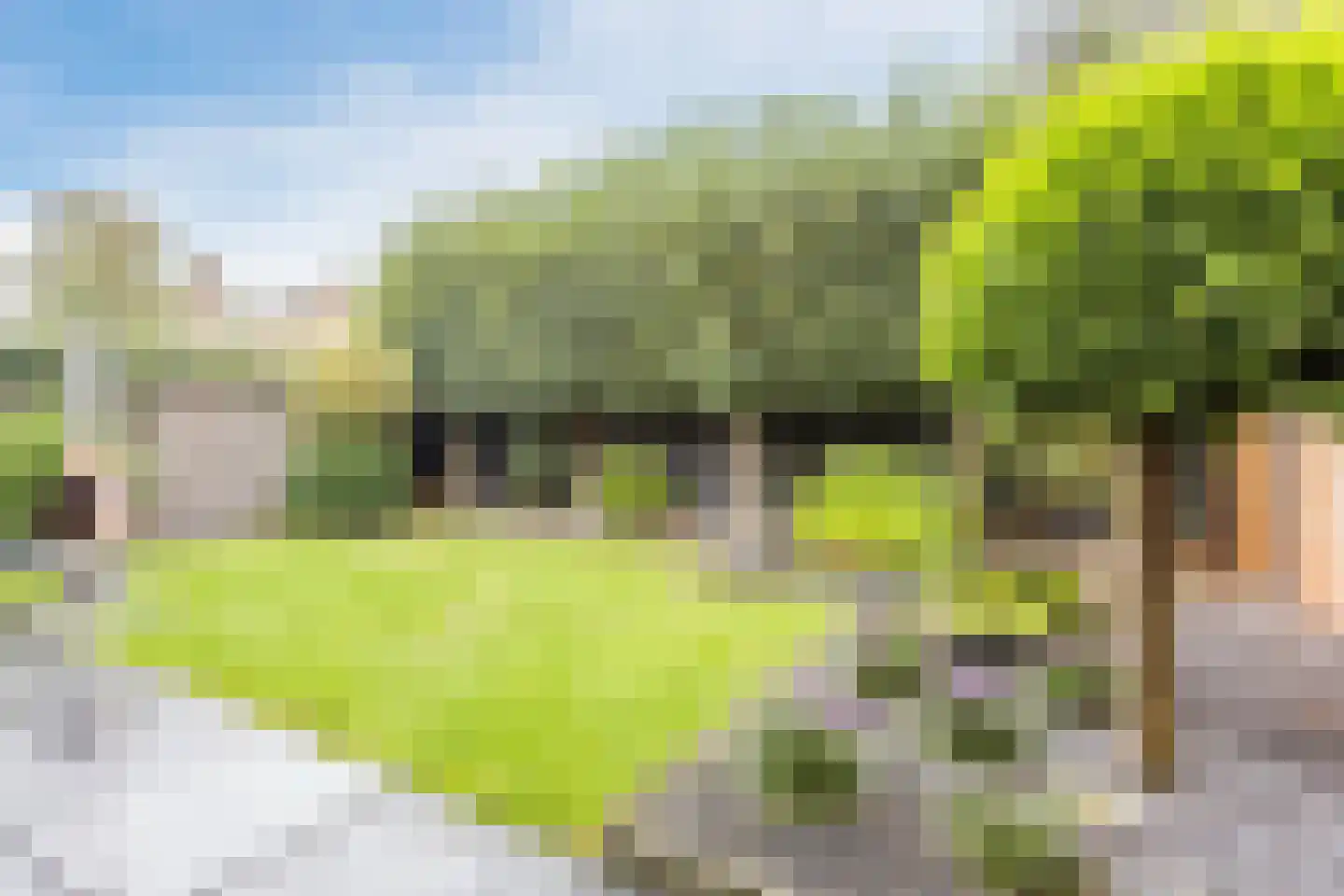 Eksterdonk 8 Veghel thumbnail 29