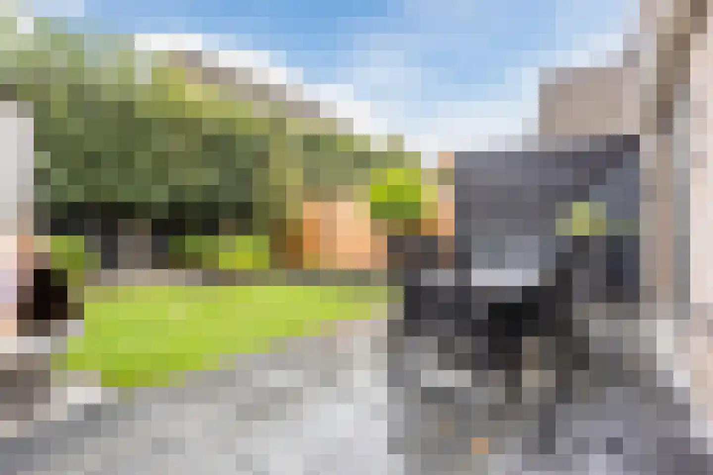 Eksterdonk 8 Veghel thumbnail 30