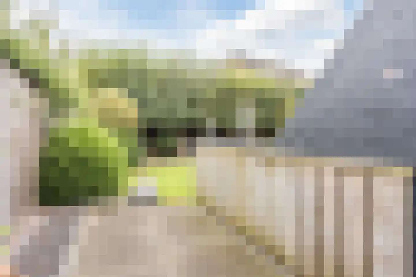 Eksterdonk 8 Veghel thumbnail 31