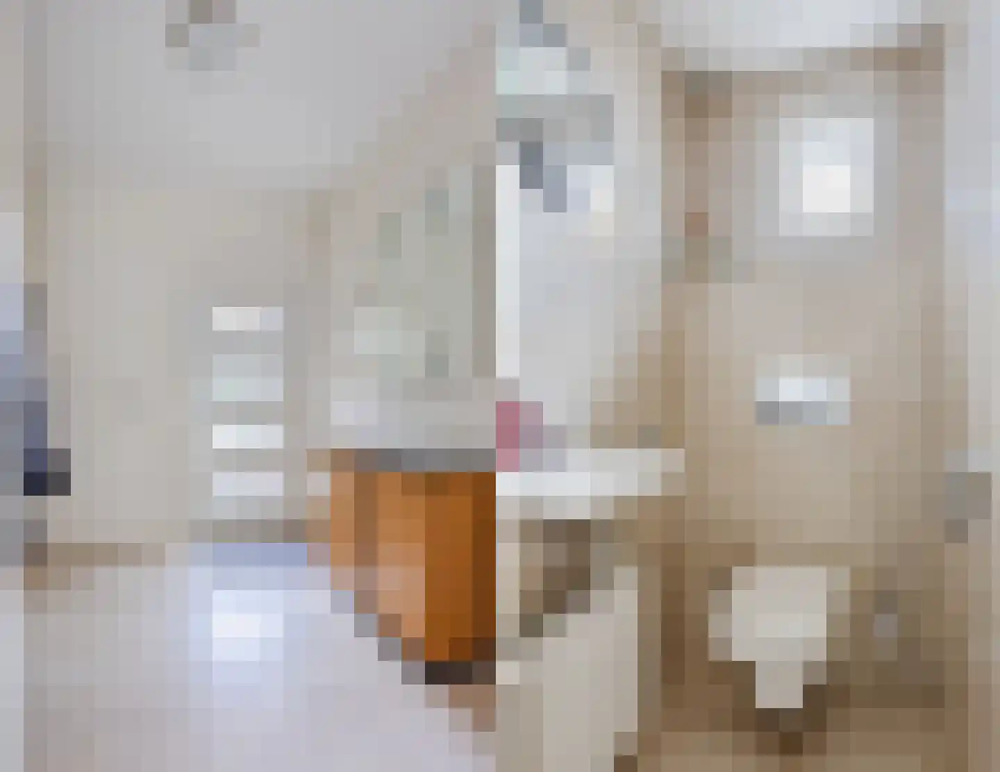 Eksterdonk 8 Veghel thumbnail 7