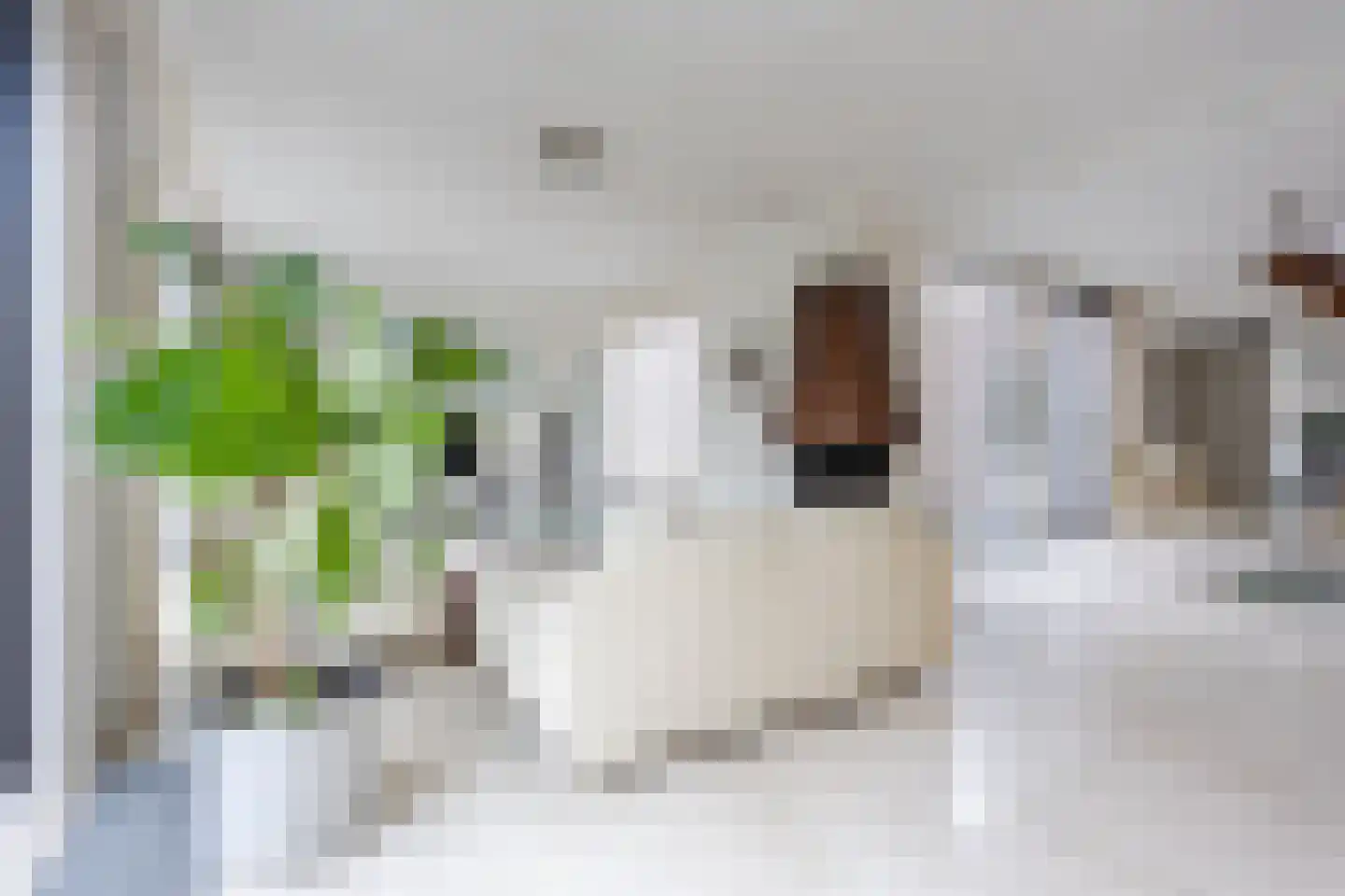 Eksterdonk 8 Veghel thumbnail 9