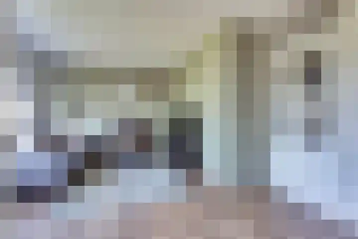 Eksterdreef 15 Waddinxveen thumbnail 11