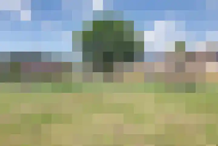 Eksterdreef 15 Waddinxveen thumbnail 21
