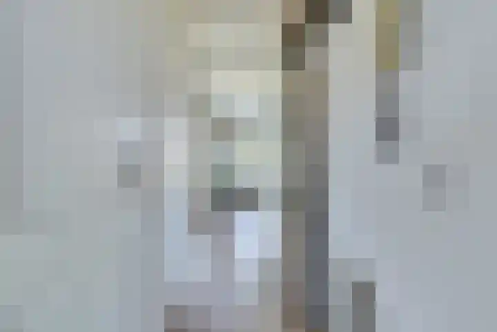 Eksterdreef 15 Waddinxveen thumbnail 8