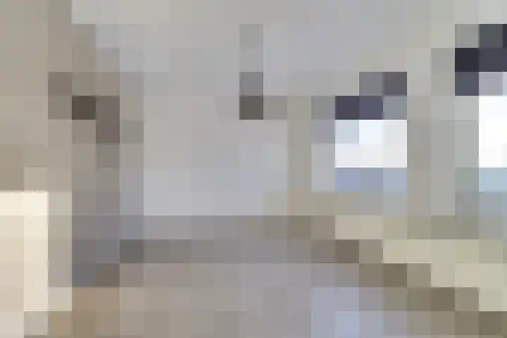 Eksterdreef 41 Waddinxveen thumbnail 11