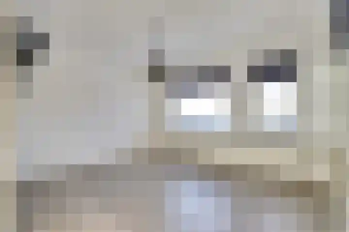 Eksterdreef 41 Waddinxveen thumbnail 12