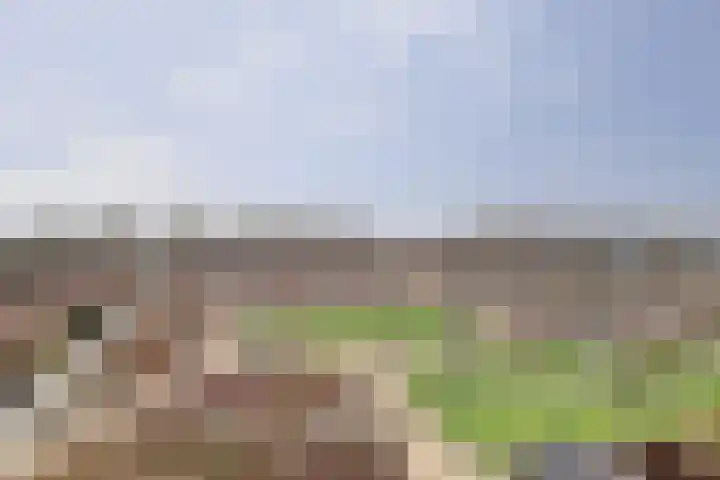 Eksterdreef 41 Waddinxveen thumbnail 28