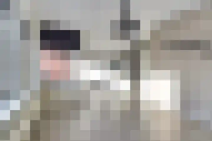 Eksterdreef 41 Waddinxveen thumbnail 9
