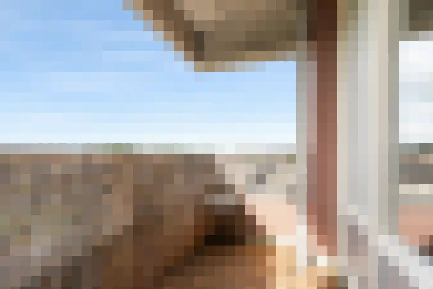 Eksterdreef 43 Waddinxveen thumbnail 16