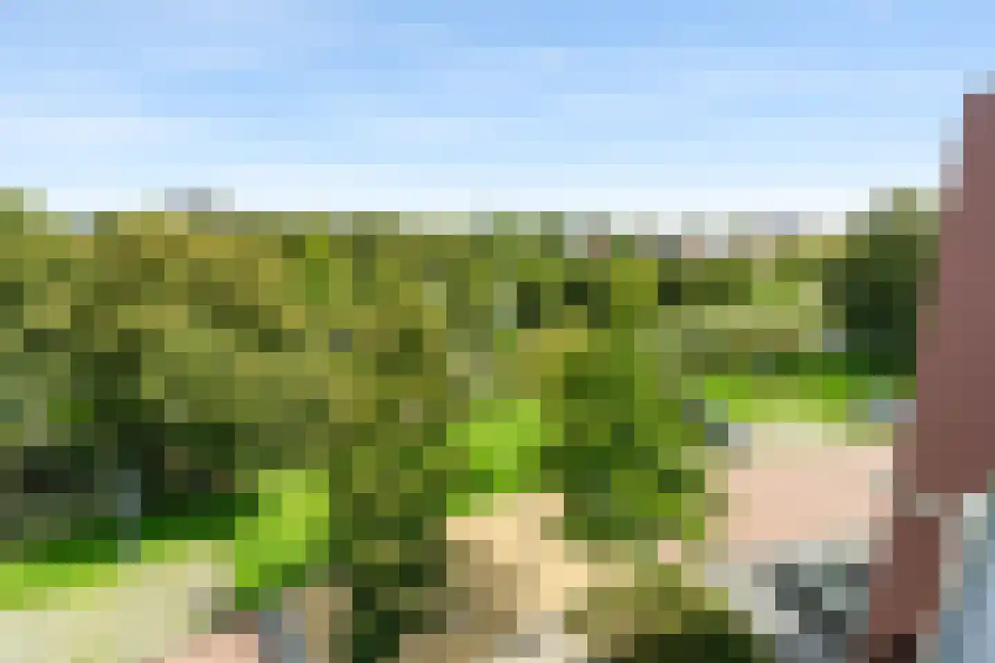 Eksterdreef 43 Waddinxveen thumbnail 26
