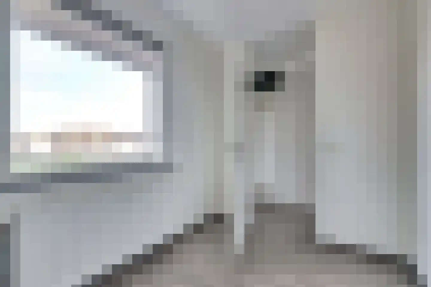 Eksterdreef 45 Waddinxveen thumbnail 22