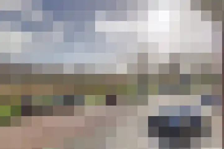 Eksterdreef 45 Waddinxveen thumbnail 28