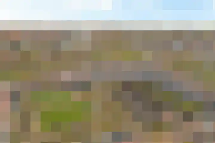 Eksterdreef 45 Waddinxveen thumbnail 34