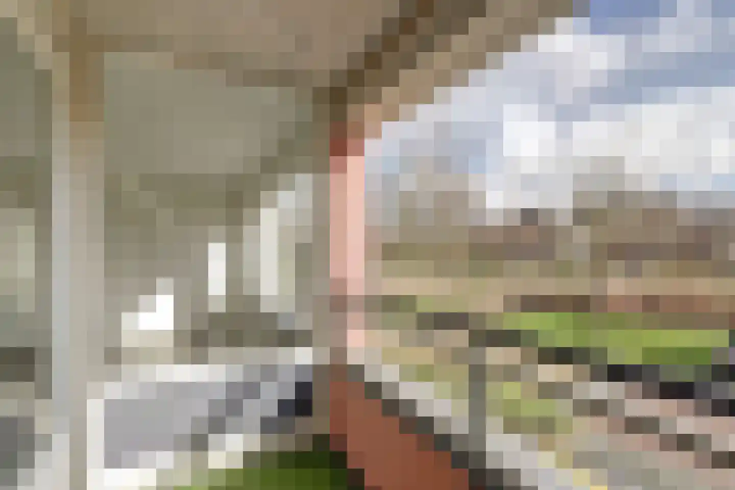 Eksterdreef 45 Waddinxveen thumbnail 4