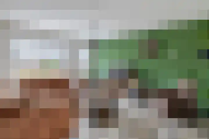 Eksterdreef 47 Waddinxveen thumbnail 11