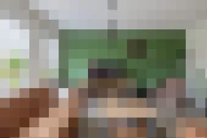Eksterdreef 47 Waddinxveen thumbnail 12