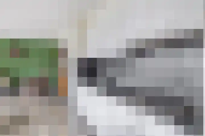 Eksterdreef 47 Waddinxveen thumbnail 17
