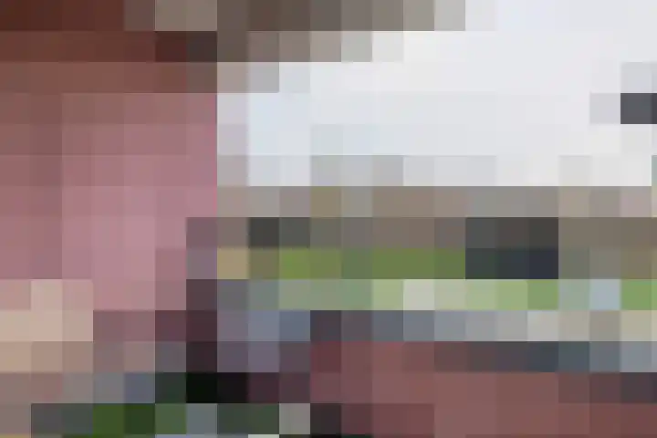 Eksterdreef 47 Waddinxveen thumbnail 19