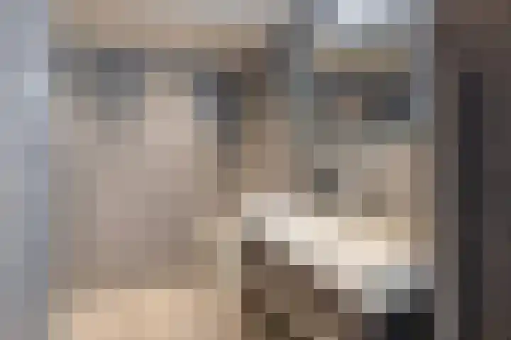 Eksterdreef 47 Waddinxveen thumbnail 4