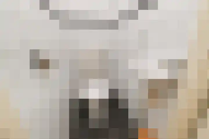 Eksterdreef 55 Waddinxveen thumbnail 13