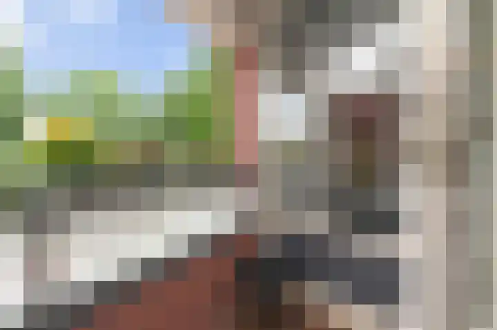 Eksterdreef 55 Waddinxveen thumbnail 20