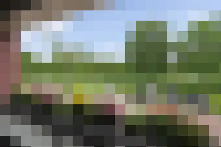 Eksterdreef 55 Waddinxveen thumbnail 22