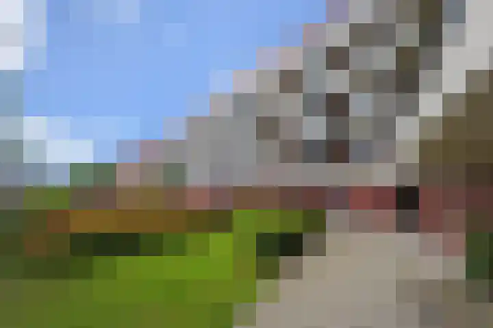Eksterdreef 55 Waddinxveen thumbnail 24