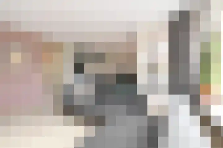 Eksterdreef 55 Waddinxveen thumbnail 7