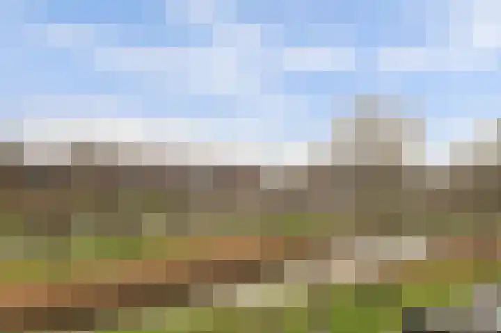 Eksterdreef 71 Waddinxveen thumbnail 14