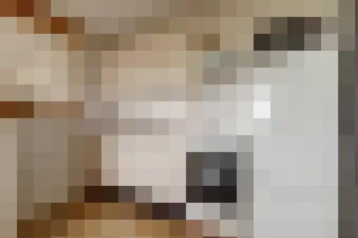 Eksterdreef 71 Waddinxveen thumbnail 17