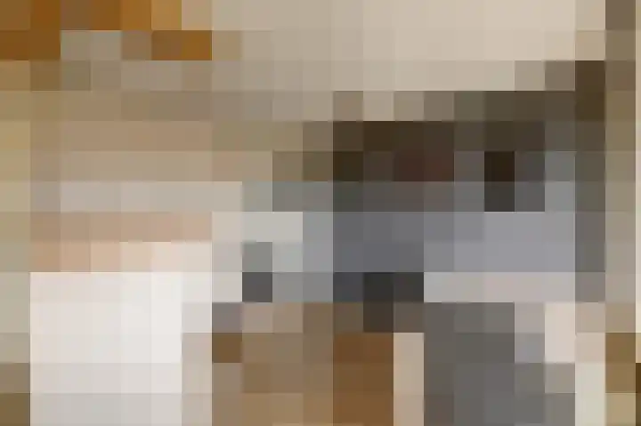 Eksterdreef 71 Waddinxveen thumbnail 4