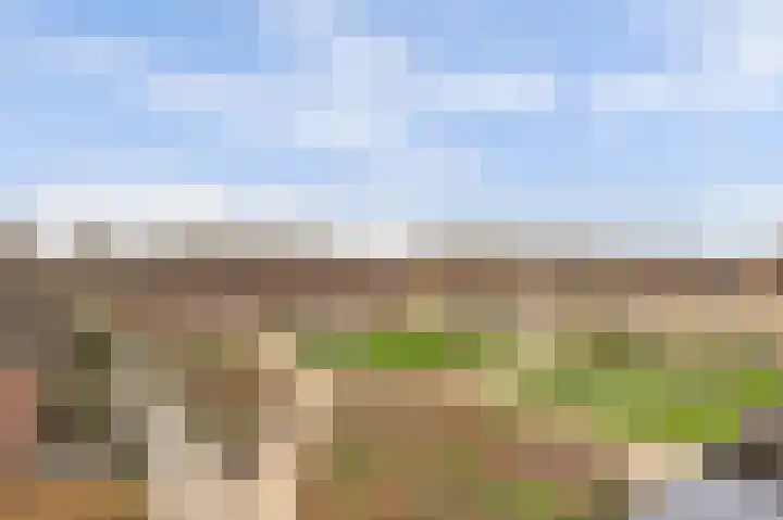Eksterdreef 71 Waddinxveen thumbnail 6