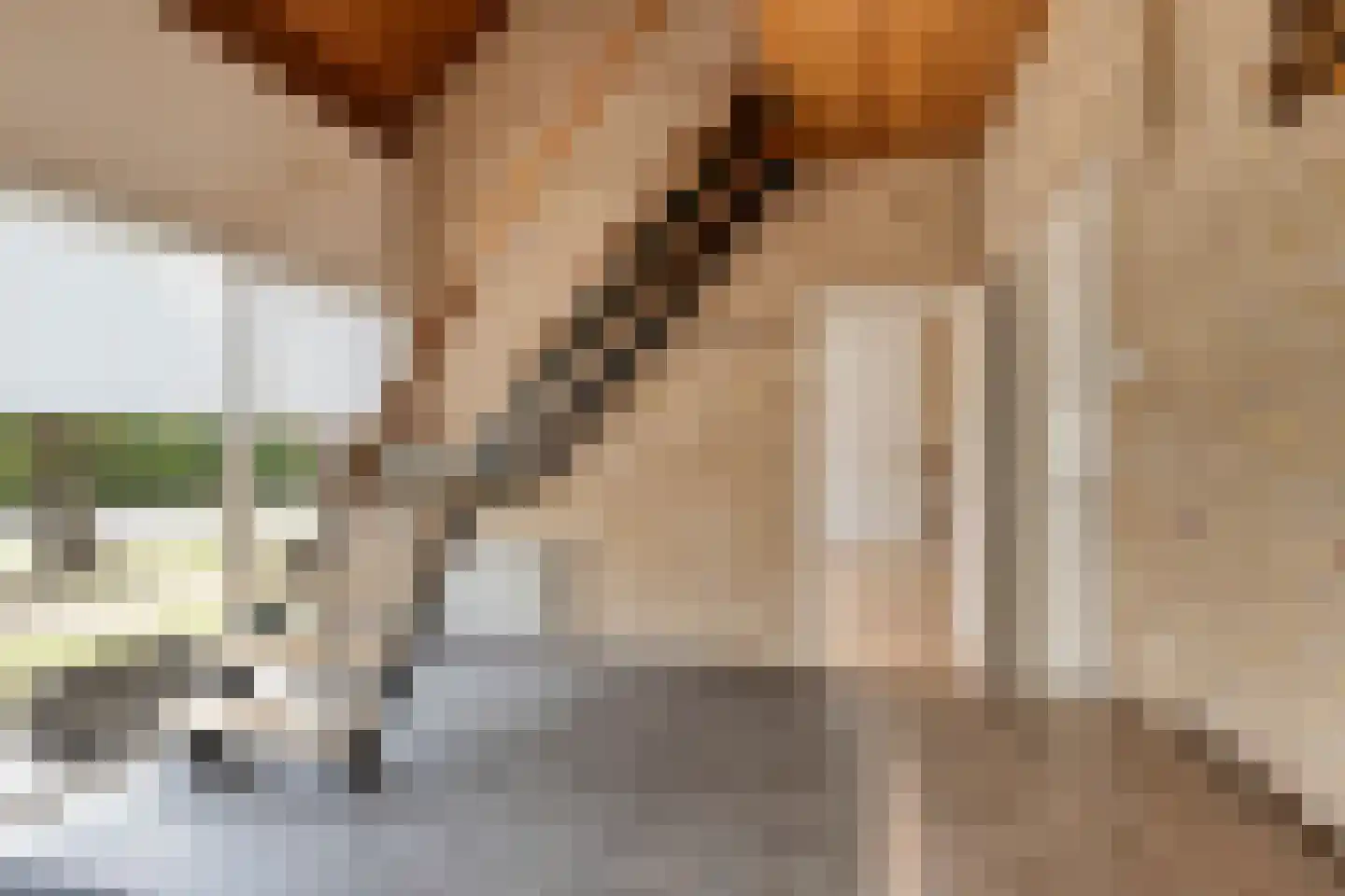 Eksterhof 19 Varsseveld thumbnail 10