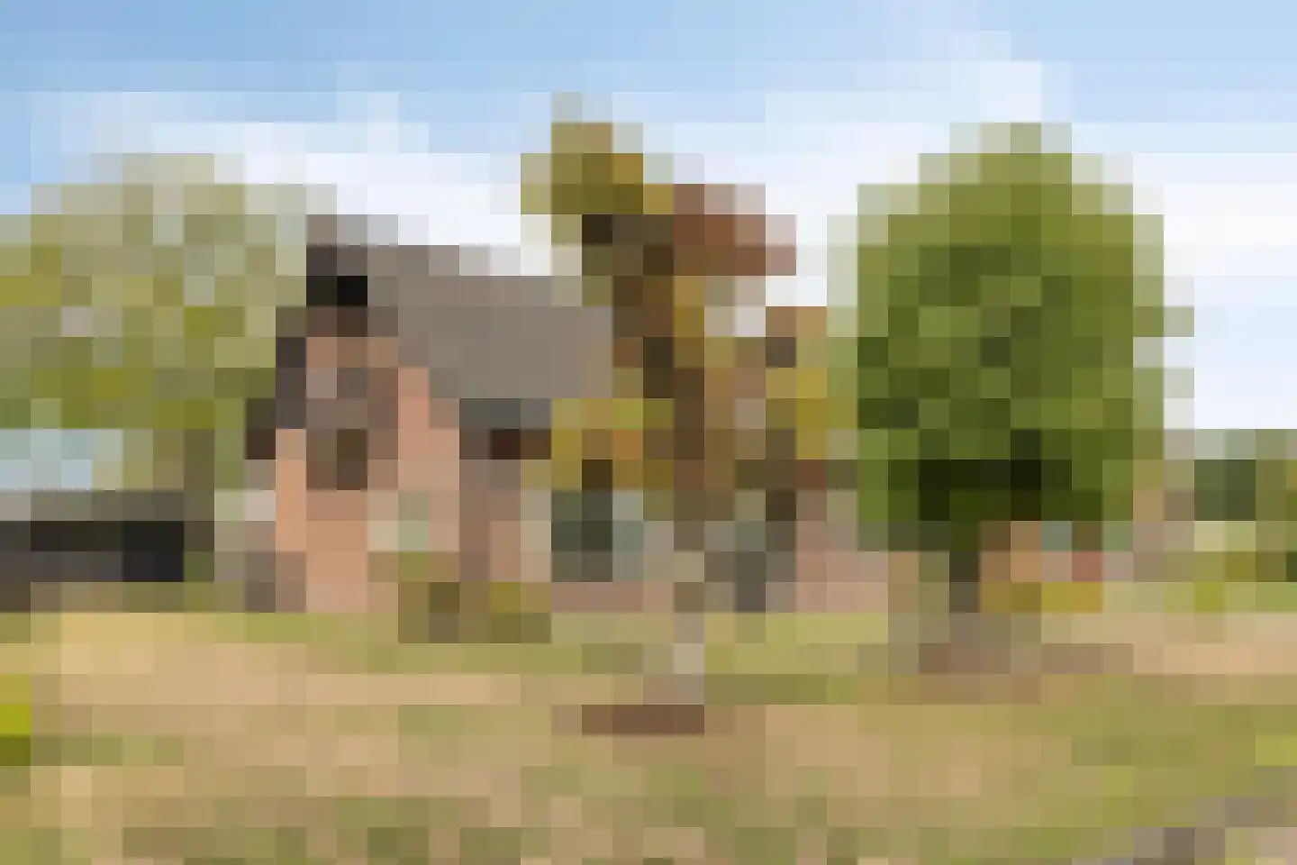 Eksterhof 19 Varsseveld thumbnail 29