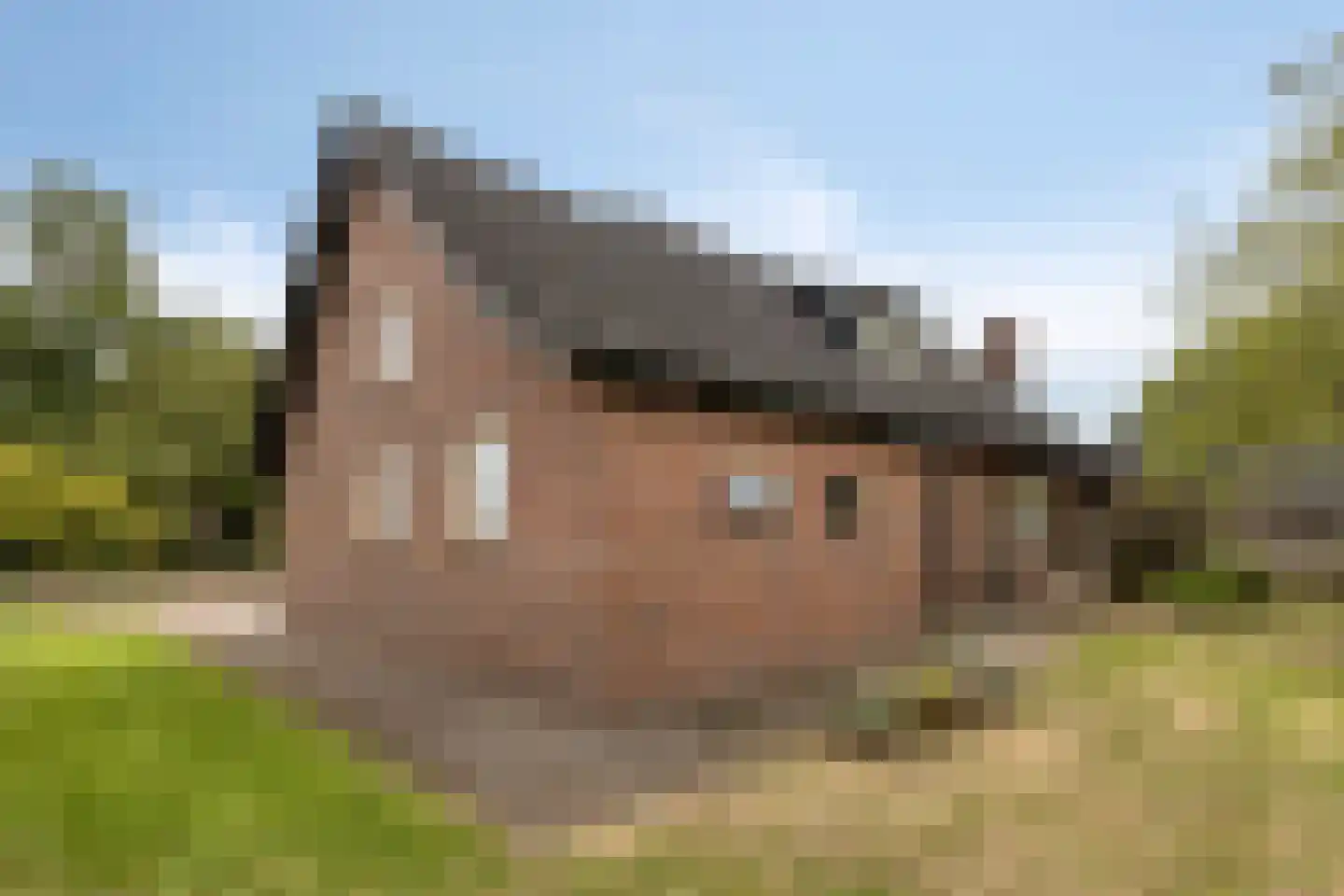 Eksterhof 19 Varsseveld thumbnail 31