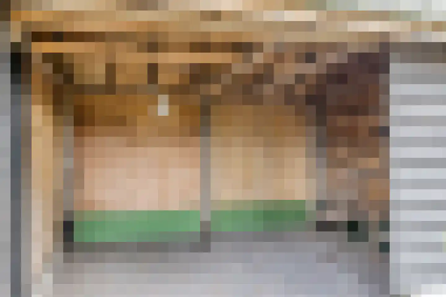 Eksterhof 19 Varsseveld thumbnail 33