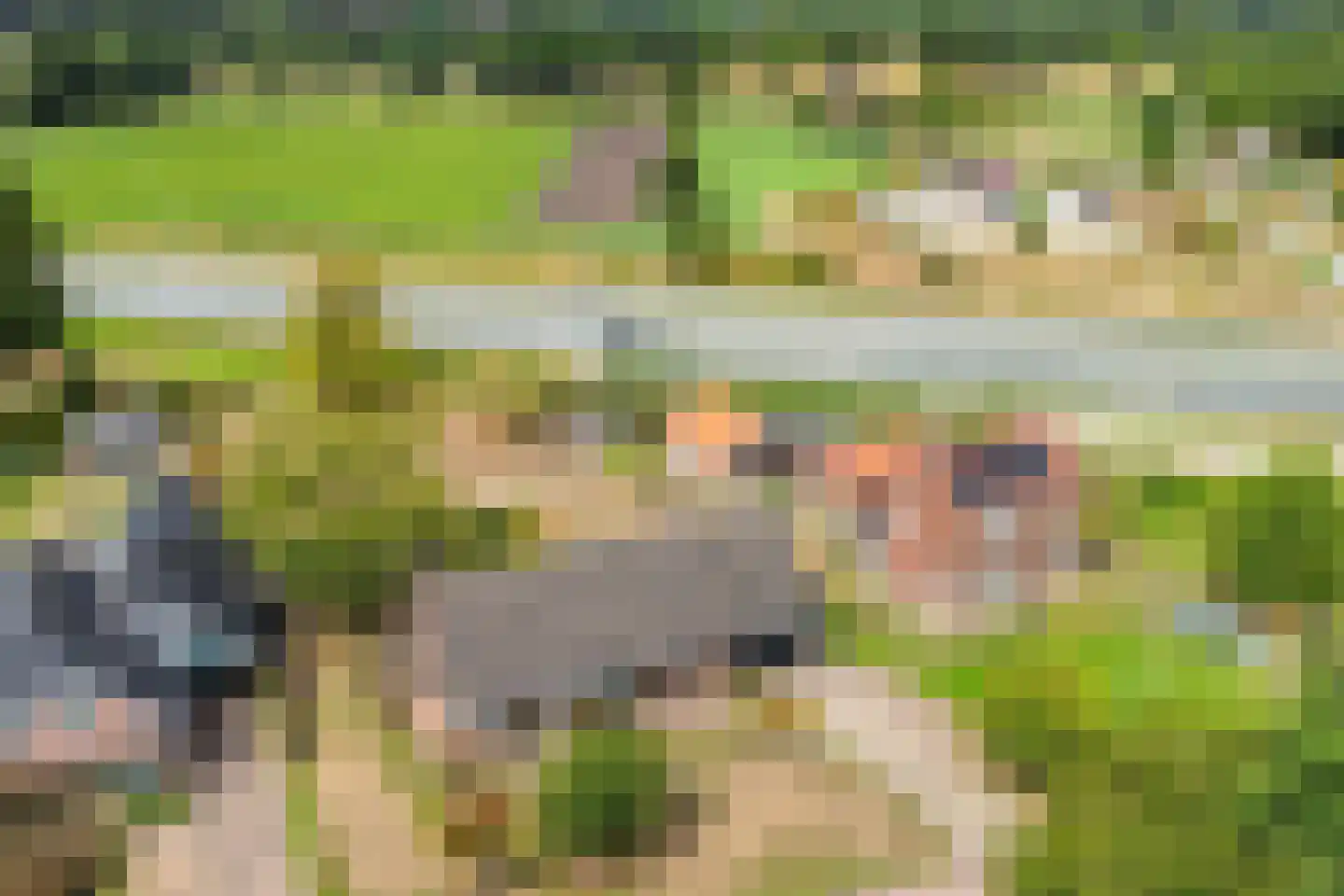 Eksterhof 19 Varsseveld thumbnail 36