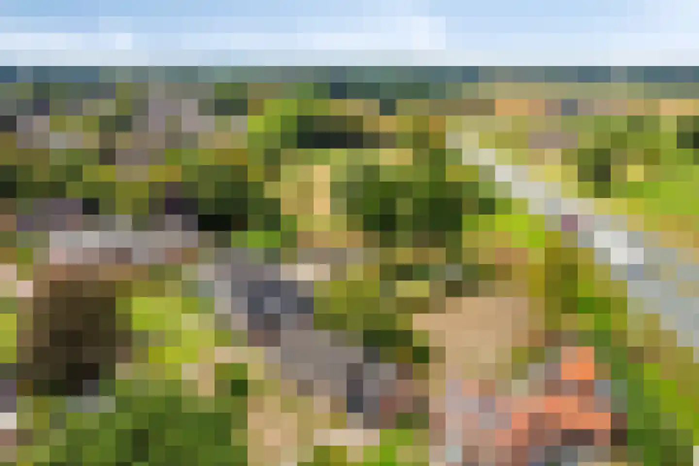 Eksterhof 19 Varsseveld thumbnail 37