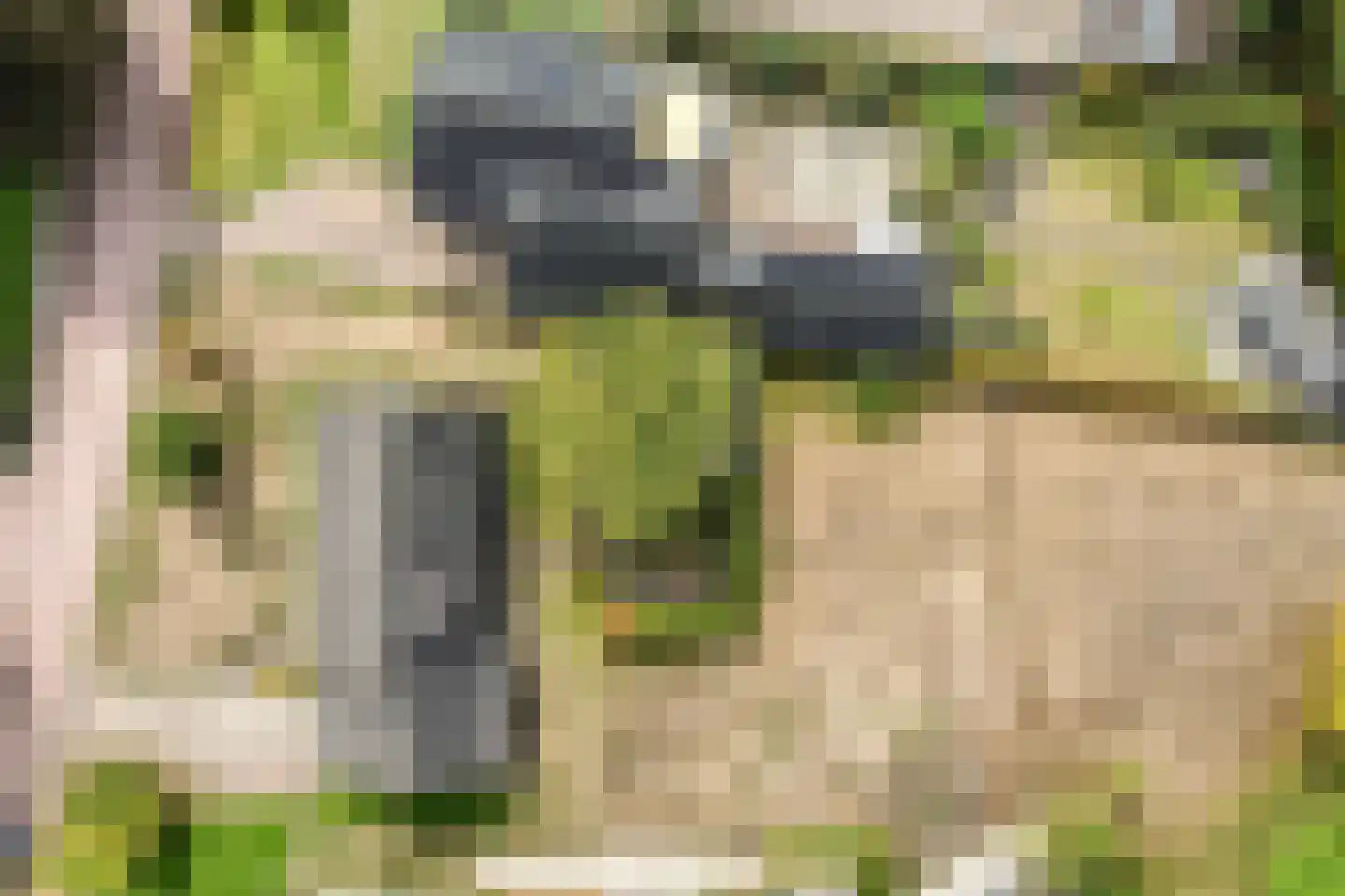 Eksterhof 19 Varsseveld thumbnail 7