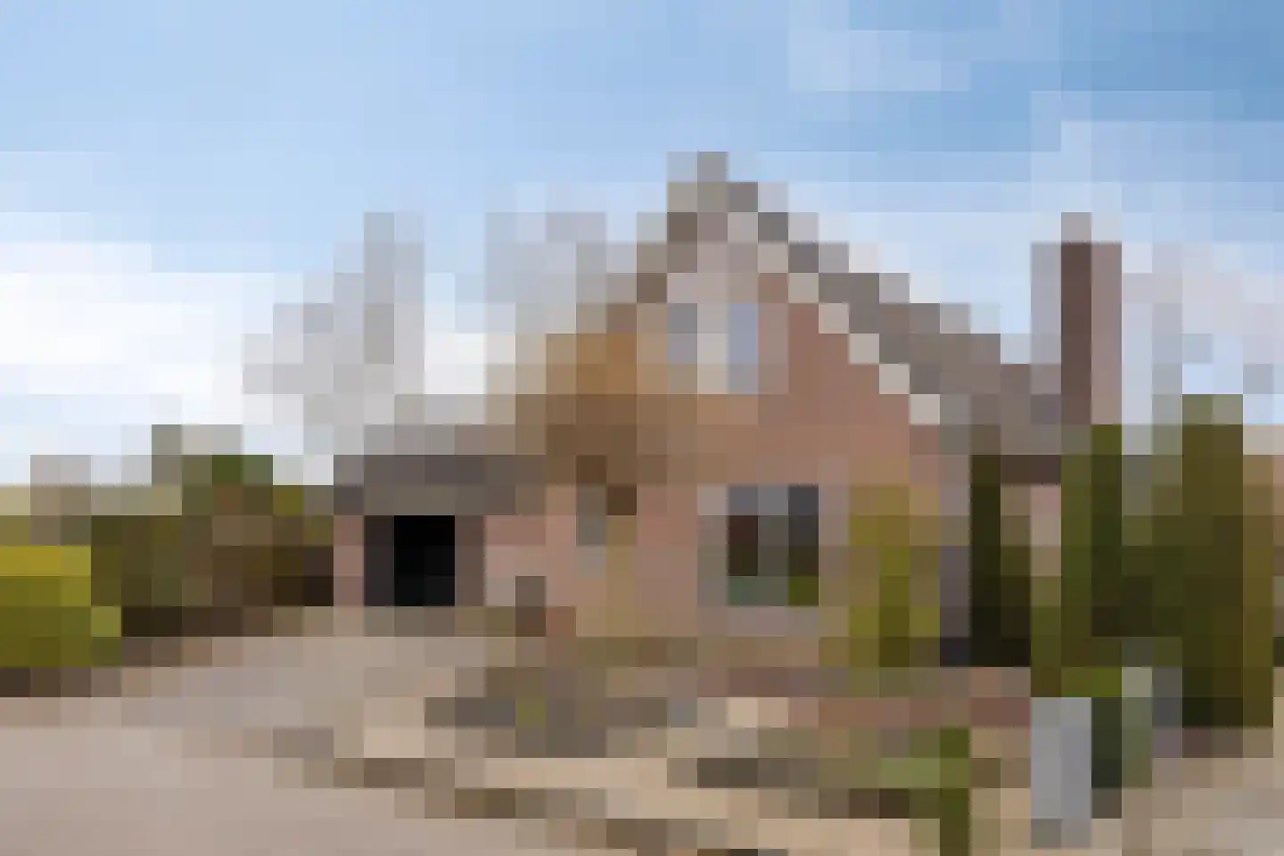 Eksterhof 33 en Varsseveld