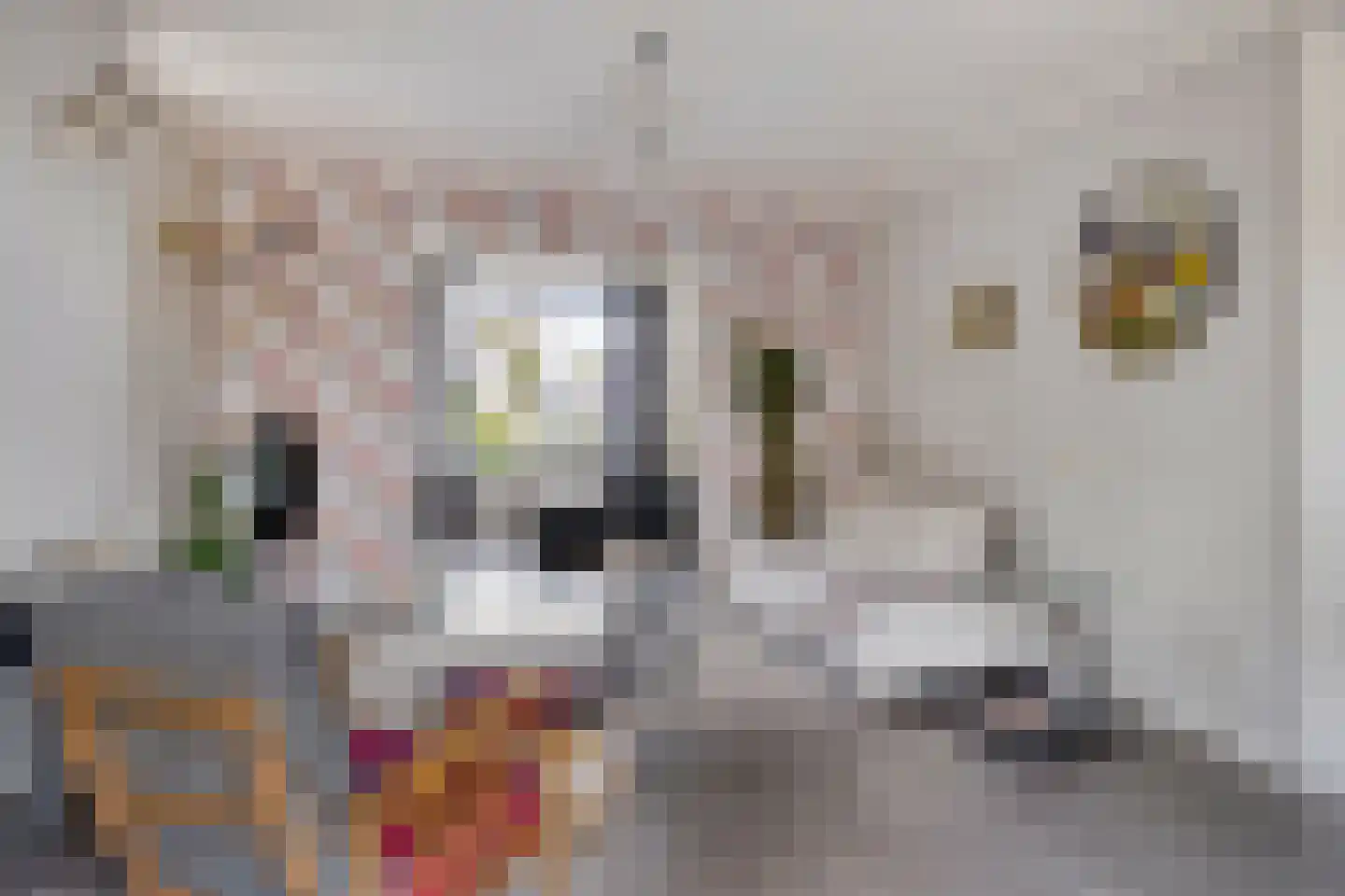 Eksterhof 33 Varsseveld thumbnail 15