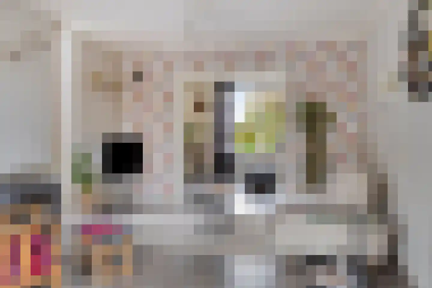 Eksterhof 33 Varsseveld thumbnail 16