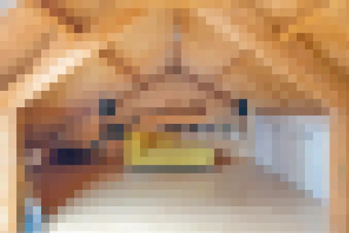 Eksterhof 33 Varsseveld thumbnail 30