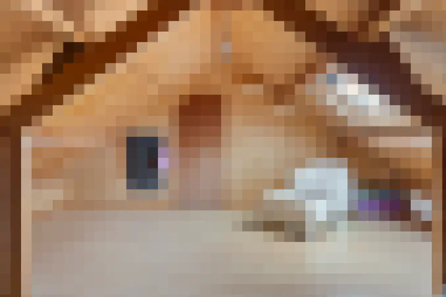 Eksterhof 33 Varsseveld thumbnail 31