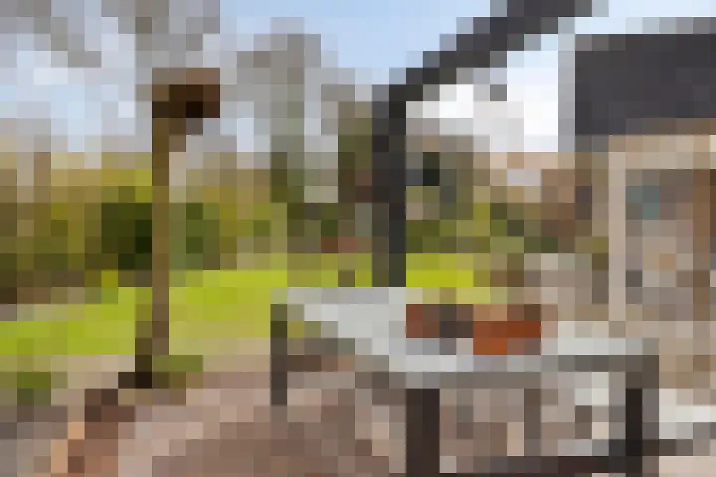 Eksterhof 33 Varsseveld thumbnail 48