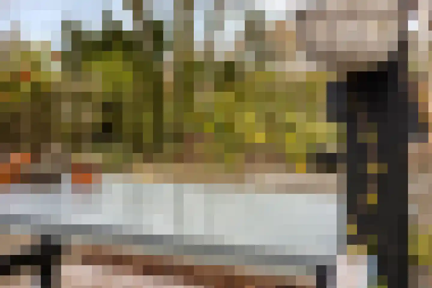 Eksterhof 33 Varsseveld thumbnail 49