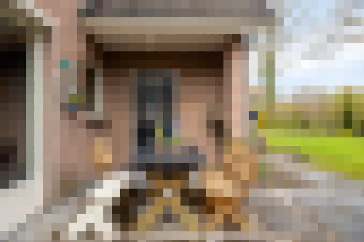 Eksterhof 33 Varsseveld thumbnail 50