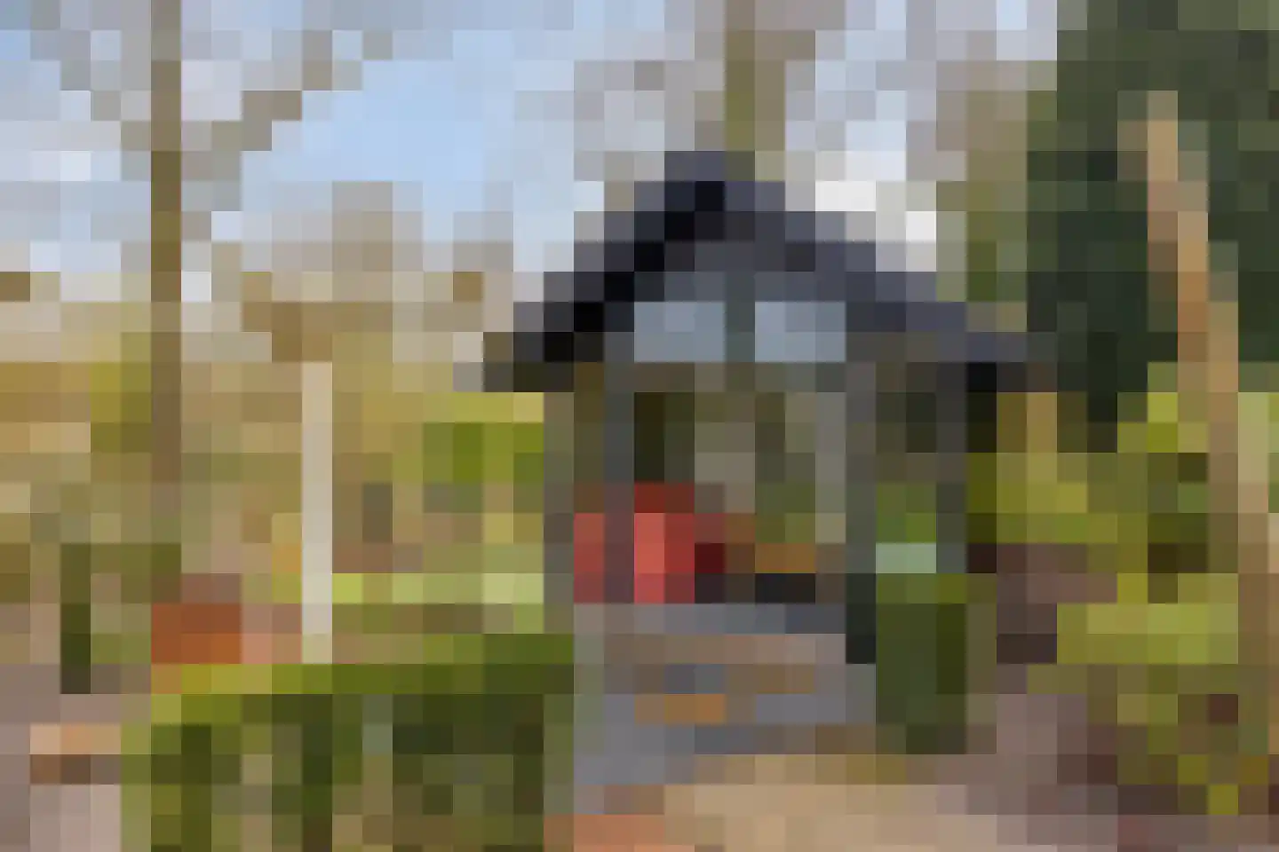 Eksterhof 33 Varsseveld thumbnail 51